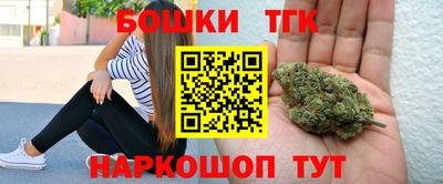 прущие грибы Камышлов