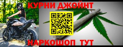 прущие грибы Камышлов